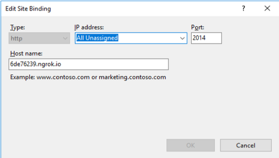IIS Server Site Binding